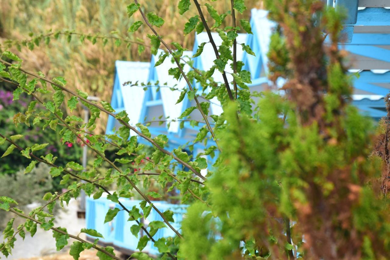 Cflow Beach Resort Byblos Εξωτερικό φωτογραφία